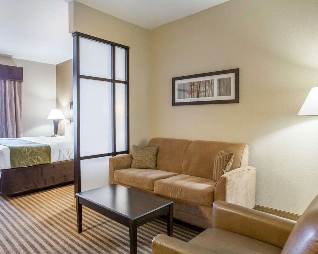 Comfort Suites Mcdonough Atlanta South Phòng bức ảnh